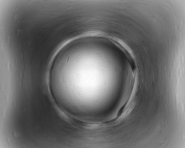 X0000099581438200805231542