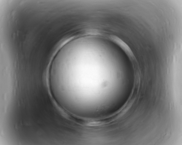 X0000099581439200805231542