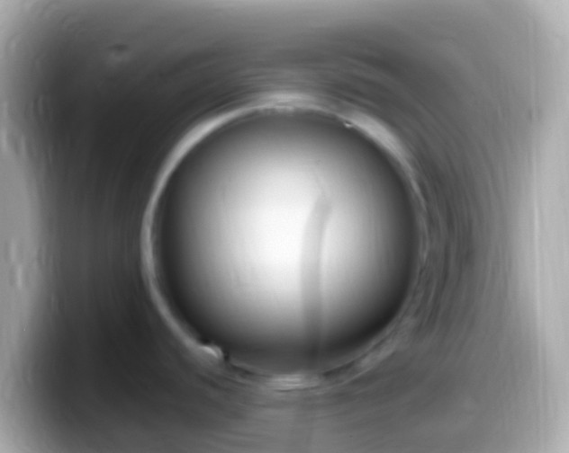 X0000099581440200805231542