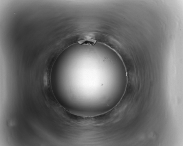 X0000099581442200805231541