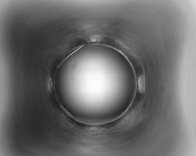 X0000099581443200805231541