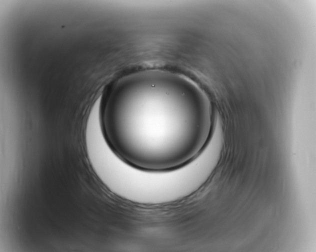 X0000099581444200805231541