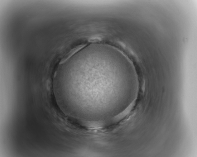 X0000099581445200805231541