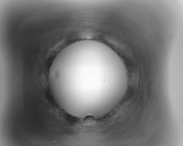 X0000099581446200805231541