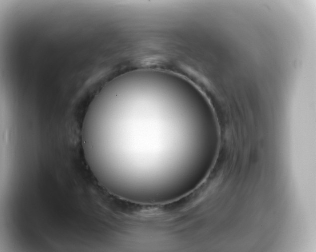 X0000099581447200805231541
