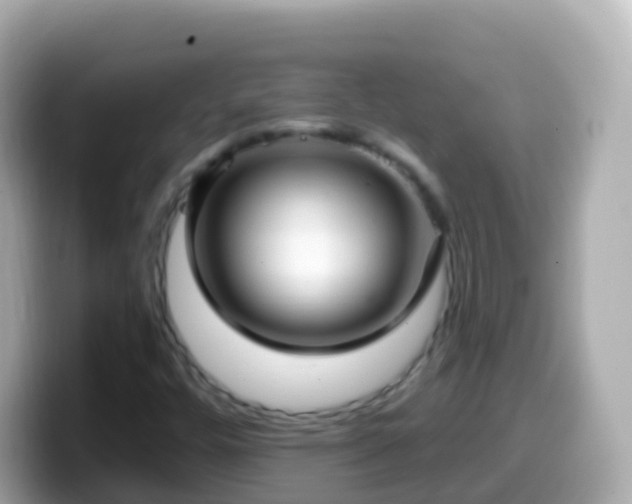 X0000099581448200805231541