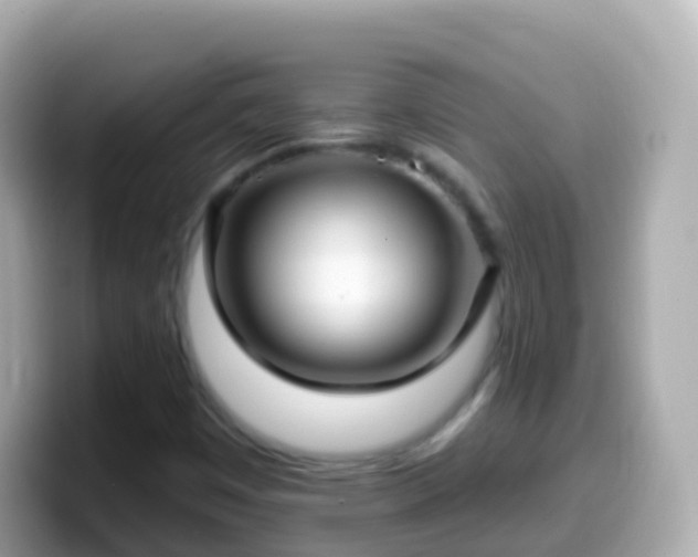 X0000099581449200805231541