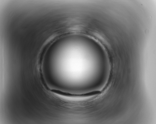 X0000099581450200805231541