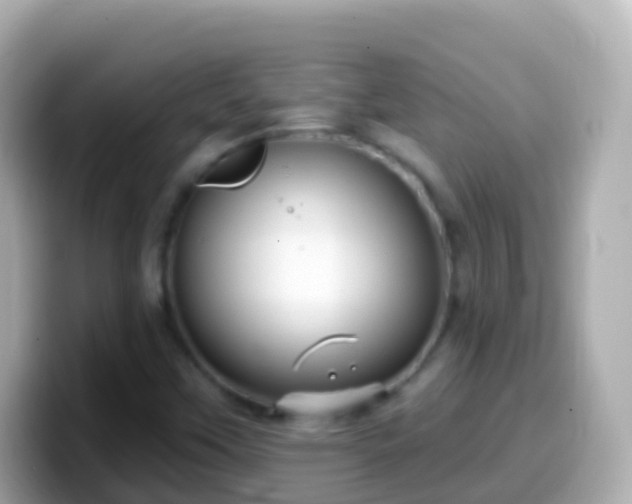 X0000099581451200805231541