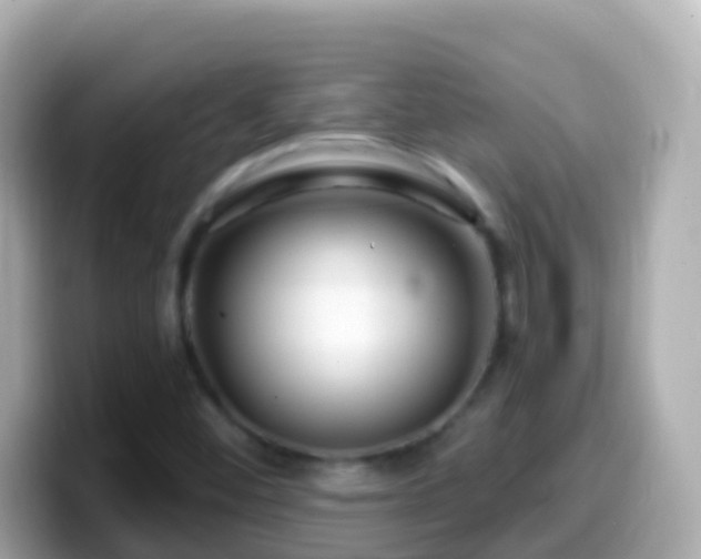 X0000099581452200805231541