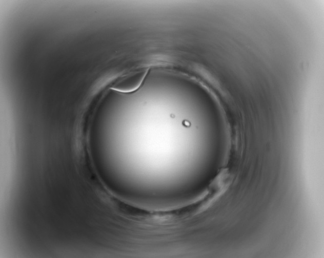 X0000099581453200805231541