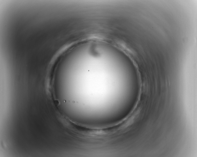 X0000099581454200805231541