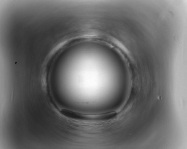 X0000099581456200805231541