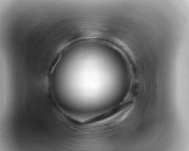 X0000099581457200805231541