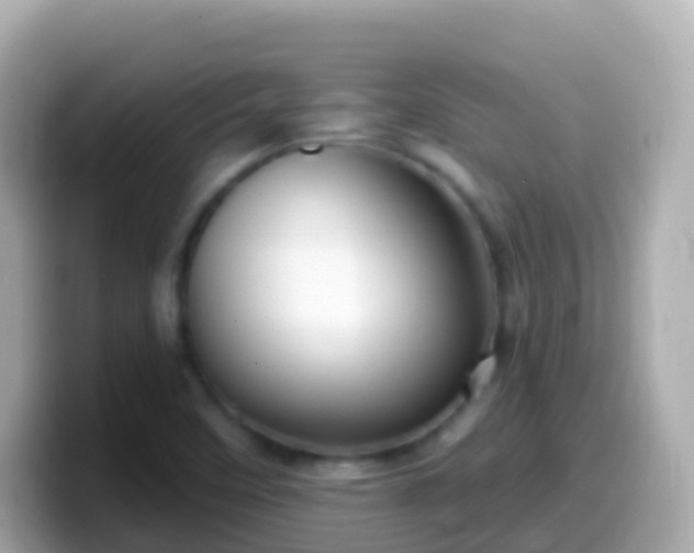 X0000099581458200805231541