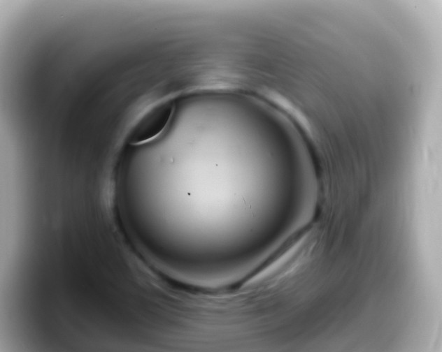 X0000099581459200805231541