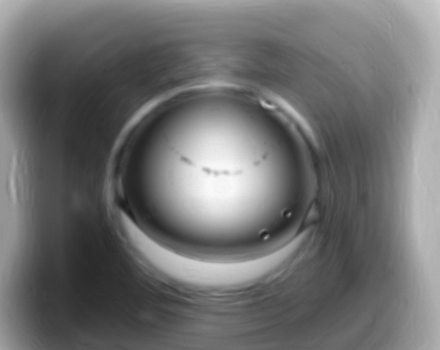 X0000099581460200805231541