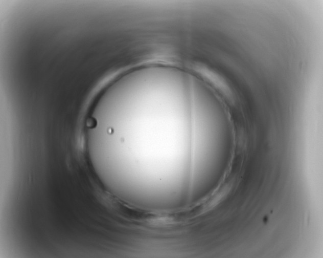 X0000099581462200805231541