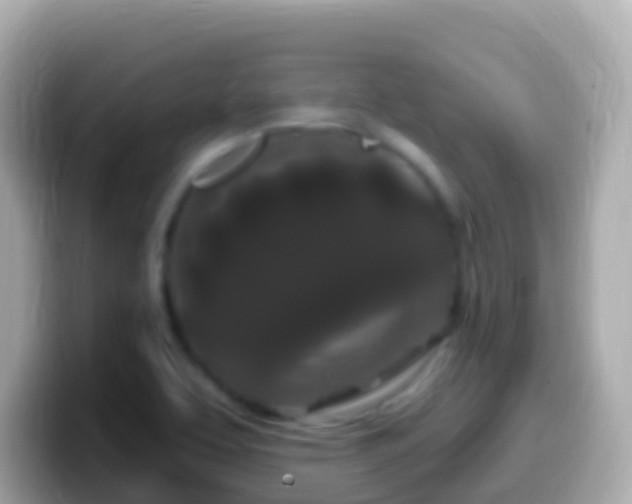 X0000099581463200805231541