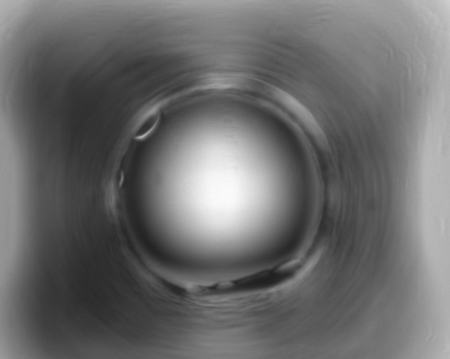 X0000099581465200805231541