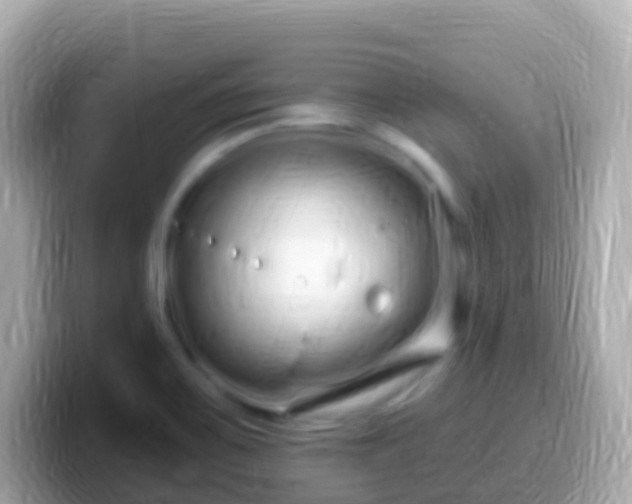 X0000099581467200805231541