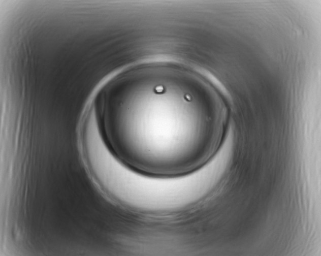 X0000099581468200805231541