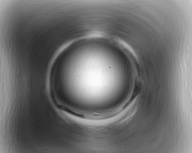 X0000099581469200805231541