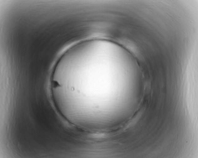 X0000099581470200805231541
