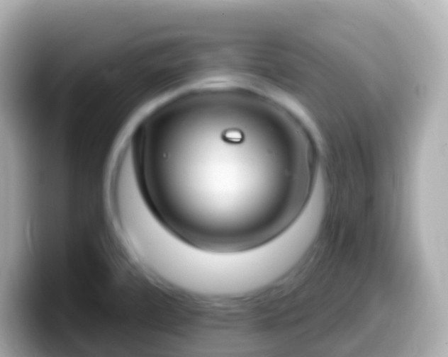 X0000099581472200805231541