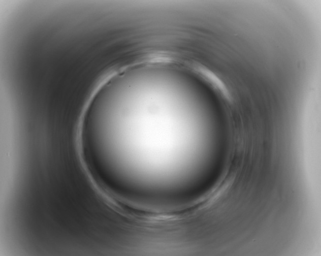 X0000099581475200805231541