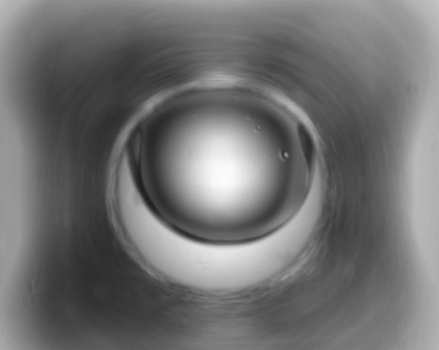 X0000099581477200805231541