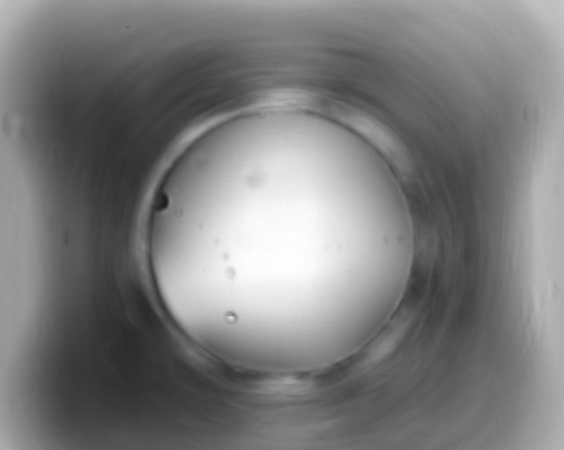 X0000099581478200805231541