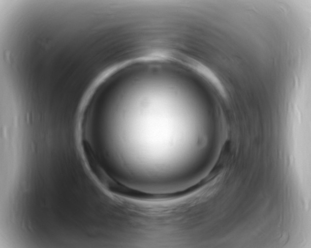 X0000099581480200805231541