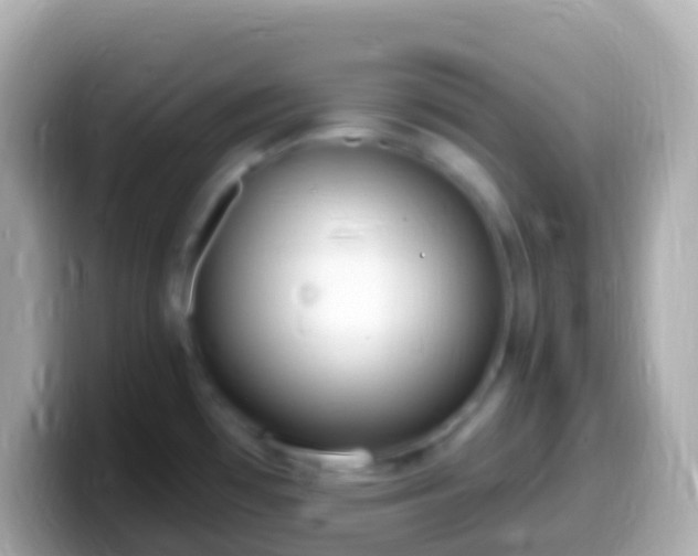 X0000099581481200805231541