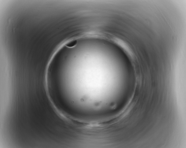 X0000099581482200805231541