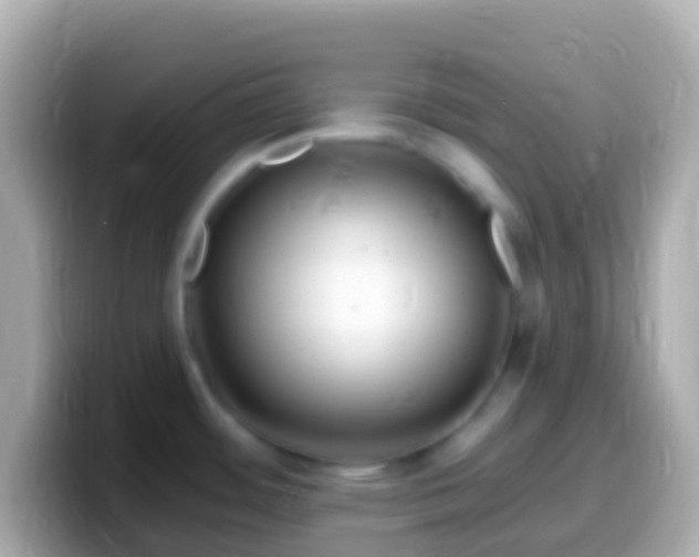 X0000099581484200805231541