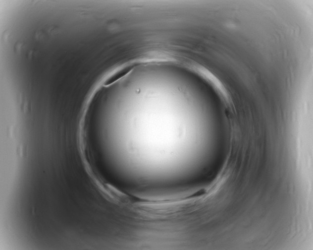 X0000099581485200805231541