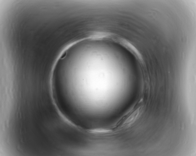 X0000099581487200805231541