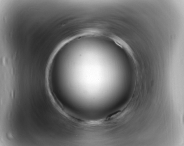 X0000099581488200805231541