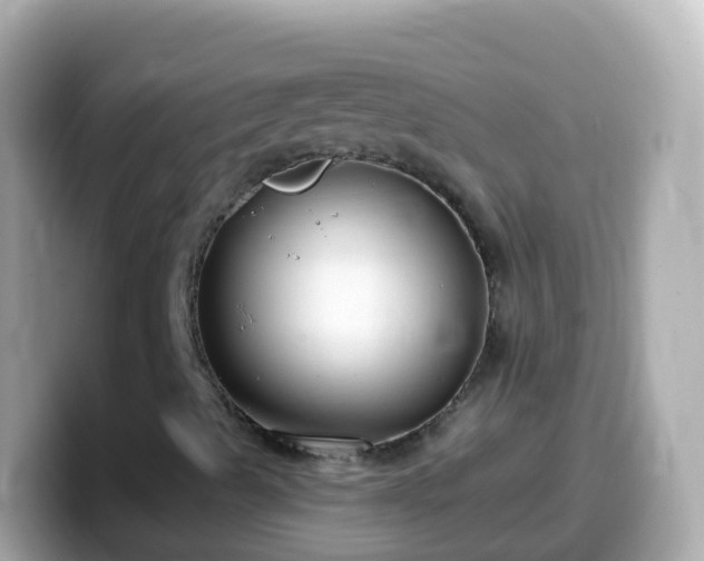 X0000099581489200805231540