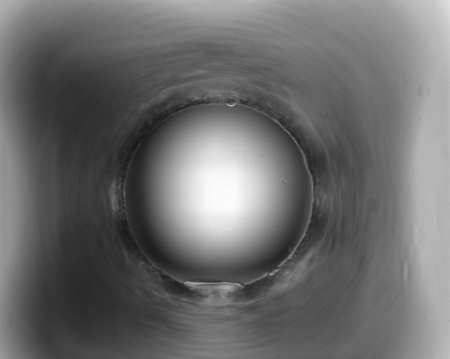 X0000099581490200805231540