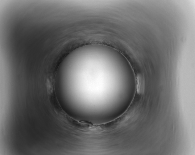 X0000099581491200805231540