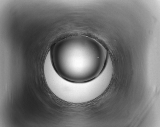 X0000099581492200805231540