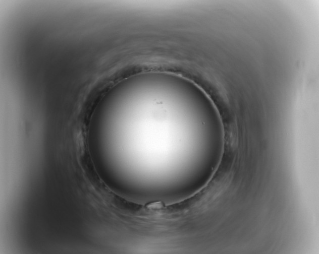 X0000099581493200805231540