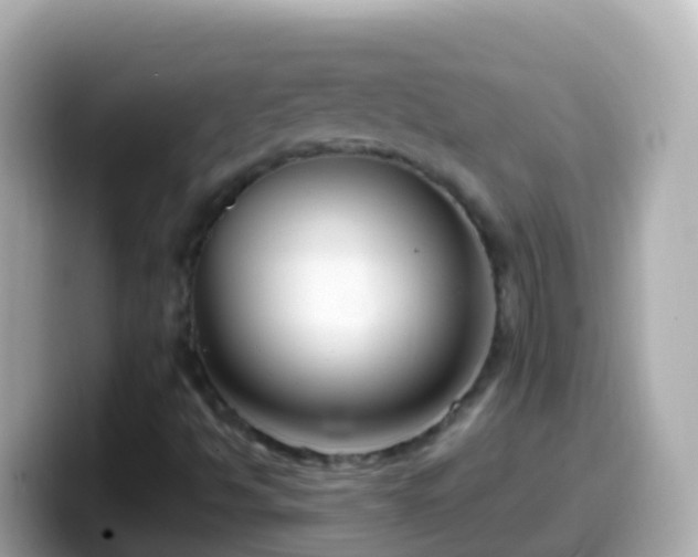 X0000099581494200805231540