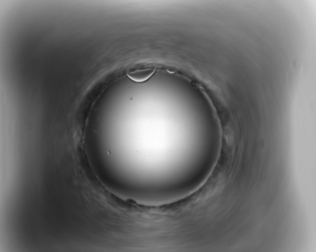 X0000099581495200805231540