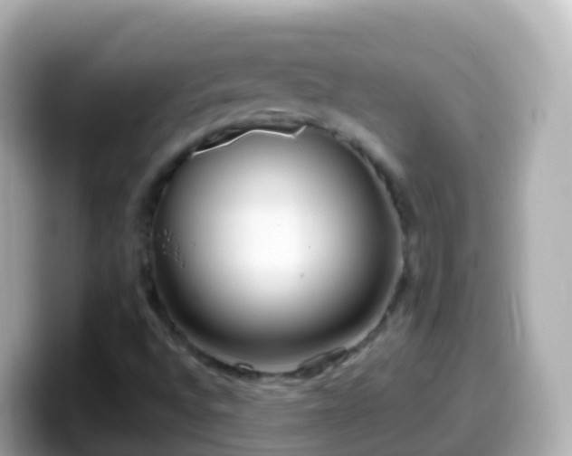 X0000099581496200805231540
