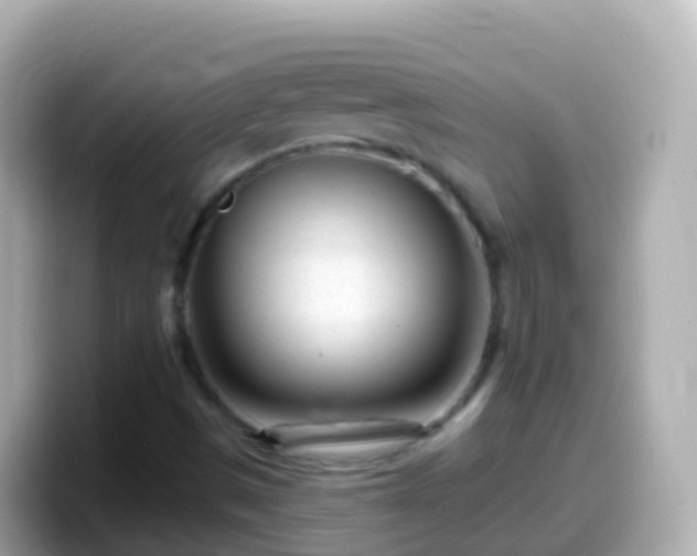 X0000099581497200805231540