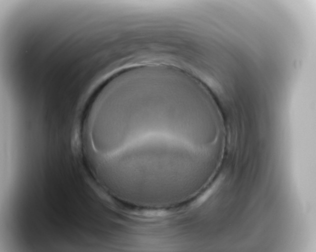 X0000099581498200805231540
