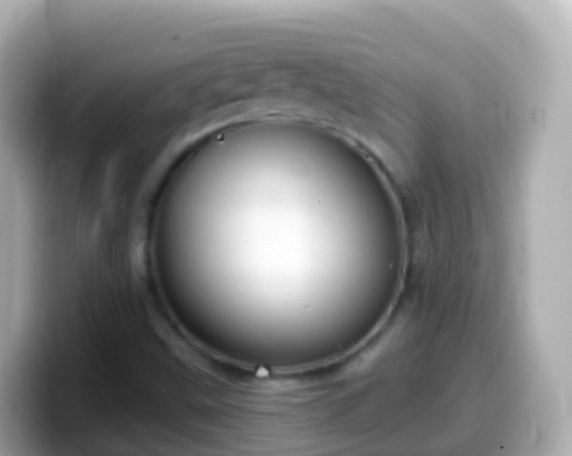X0000099581499200805231540